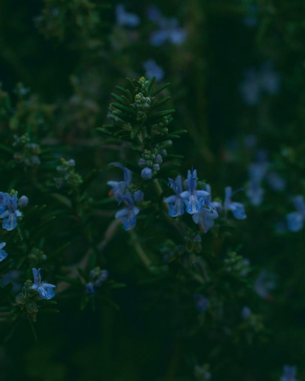 COLLECTION 2024 AW 17