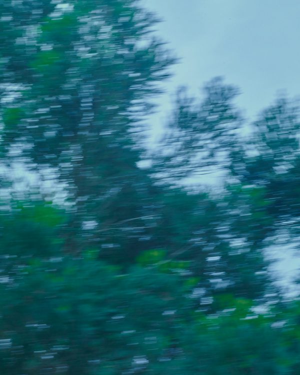 COLLECTION 2024 AW 23