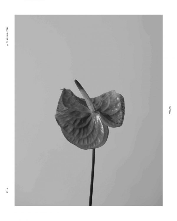 COLLECTION 2025 AW 2