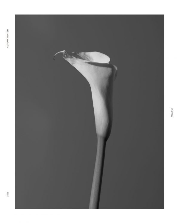 COLLECTION 2025 AW 25