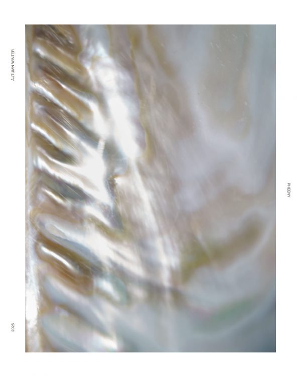 COLLECTION 2025 AW 15