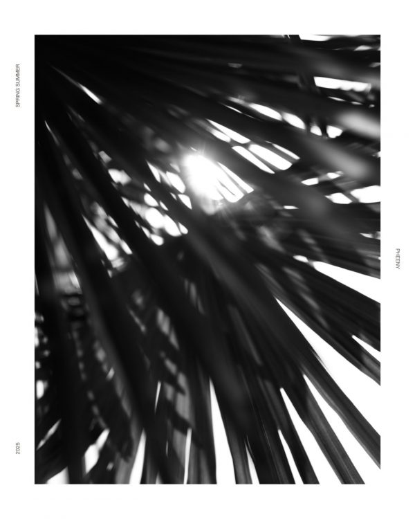 COLLECTION 2025 SS 8