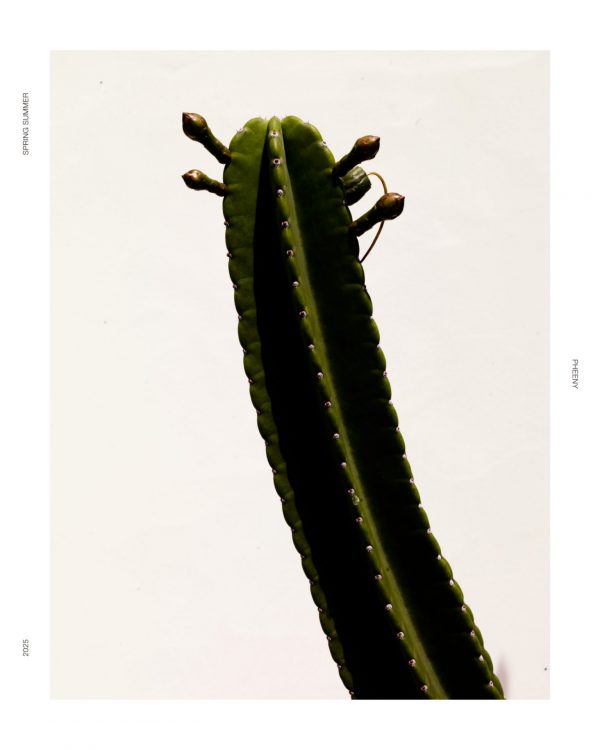 COLLECTION 2025 SS 19